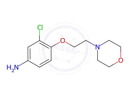 Chemical structure of 3-Chloro-4-[2-(4-morpholinyl)ethoxy]phenylamine Dihydrochloride