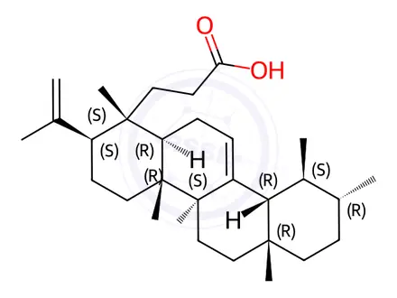 Chemical structure of Roburic acid