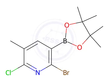 Chemical structure of 2-Bromo-6-chloro-5-methyl-3-(4,4,5,5-tetramethyl-1,3,2-dioxaborolan-2-yl)pyridine