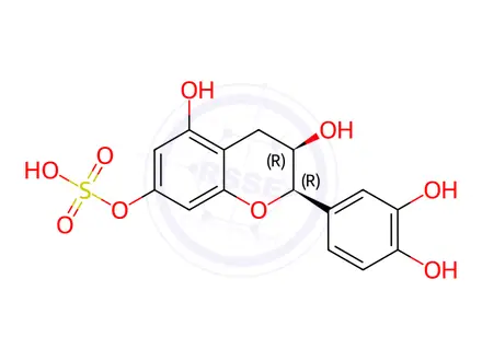 Chemical structure of Catechin Impurity 12