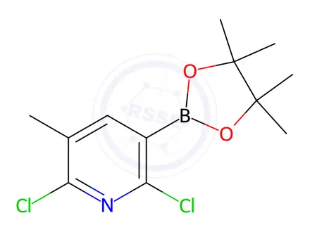 Chemical structure of 2,6-Dichloro-3-methyl-5-(4,4,5,5-tetramethyl-1,3,2-dioxaborolan-2-yl)pyridine