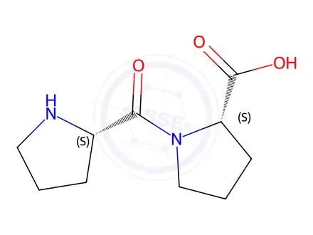 Chemical structure of 1-L-Prolyl-L-proline Hydrochloride