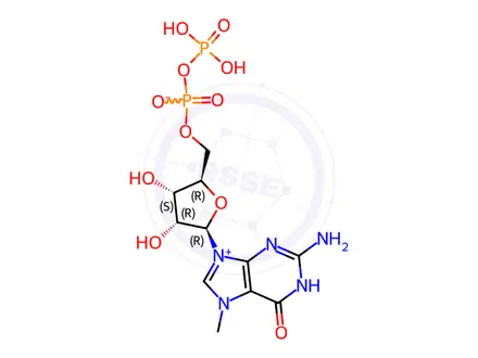 Chemical structure of GUANOSINE 5'-(TRIHYDROGEN DIPHOSPHATE), 7-METHYL-, INNER SALT, COMPD. WITH N,N-DIETHYLETHANAMINE (1:2)