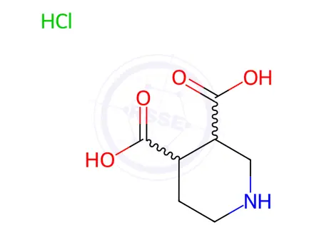 Chemical structure of piperidine-3,4-dicarboxylic acid hydrochloride