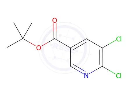 Chemical structure of Tert-butyl 5,6-dichloropyridine-3-carboxylate