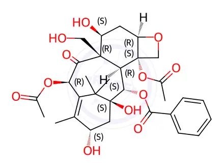 Chemical structure of 19-Hydroxybaccatin III