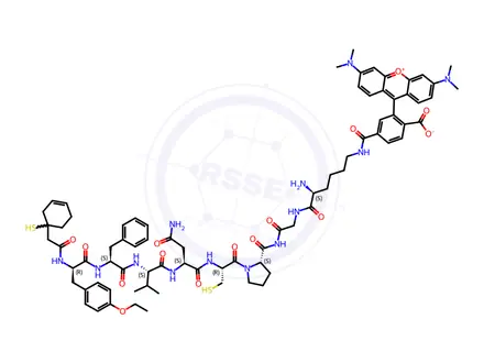 Chemical structure of vasopressin, 1-(beta-mercapto-beta,beta-cyclopentamethylene propionic acid)-(O-ethyl)Tyr(2)-Val(4)-Lys(8)-N(6)-carboxytetramethylrhodamine-