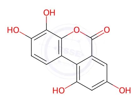 Chemical structure of Urolithin