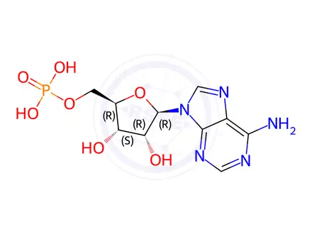 Chemical structure of Poly(A)