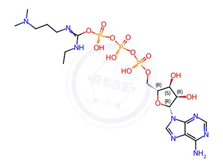 Chemical structure of adenosine triphosphate-1-ethyl-3-(3-(dimethylamino)propyl)carbodiimide