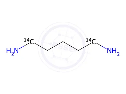 Chemical structure of 1,5-DIAMINOPENTANE-1,5-14C DIHYDROCHLORIDE