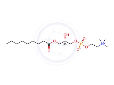 Chemical structure of 09:0 Lyso PC