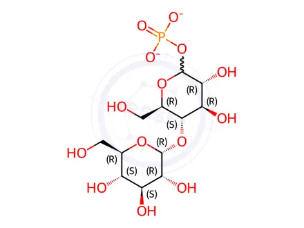 Chemical structure of ALPHA-D(+)MALTOSE 1-PHOSPHATE DIPOTASSIUM SALT