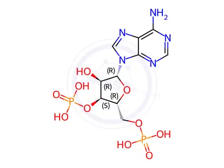 Chemical structure of N-Desmethyl Desacetyl Diltiazem Hydrochloride Salt