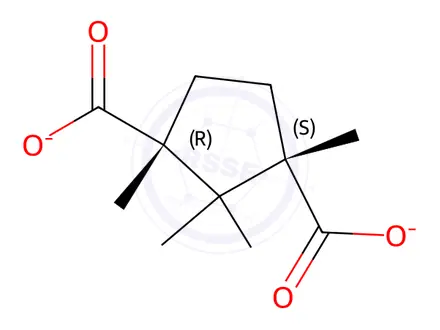 Chemical structure of sodium 3-methyl cis-(±)-camphorate