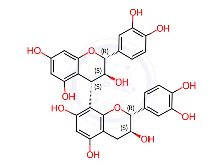 Chemical structure of Procyanidin B3