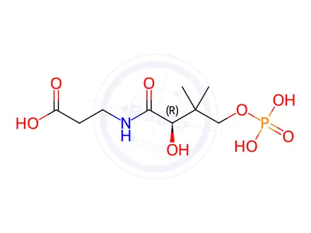 Chemical structure of Calcium Pantothenate Impurity 2