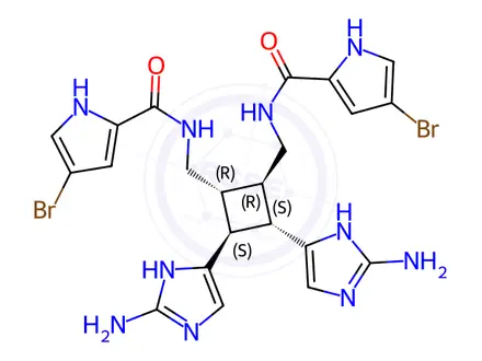 Chemical structure of Sceptrin Dihydrochloride