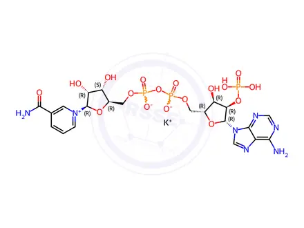 Chemical structure of β-icotinamide adenine dinucleotide phosphate potassium salt hydrate