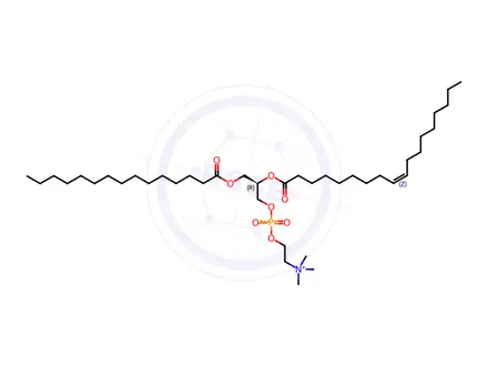 Chemical structure of 15:0-18:1 PC