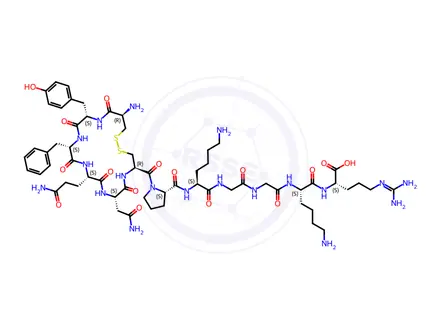 Chemical structure of vasopressin, Gly-Lys-Arg-8-Lys-