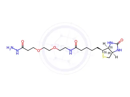 Chemical structure of Biotin-PEG2-Hydrazide