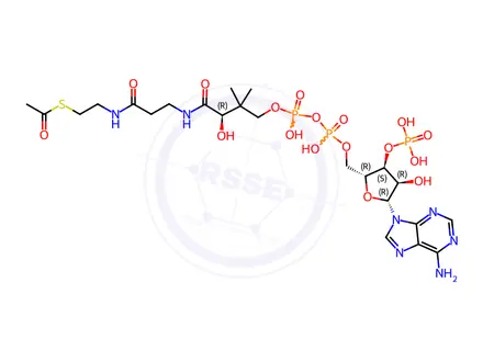 Chemical structure of Xanomeline Impurity 102
