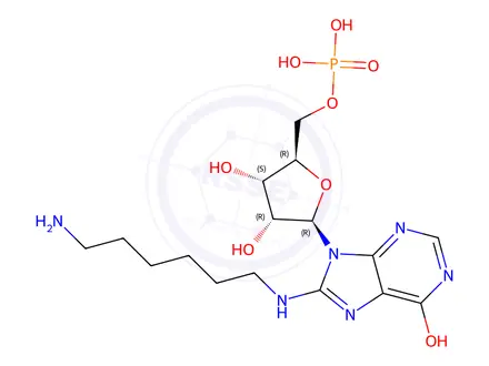 Chemical structure of ((2R,3S,4R,5R)-5-(8-((6-Aminohexyl)amino)-6-hydroxy-9H-purin-9-yl)-3,4-dihydroxytetrahydrofuran-2-yl)methyl dihydrogen phosphate