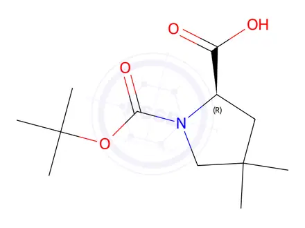 Chemical structure of 1,2-Pyrrolidinedicarboxylic acid, 4,4-diMethyl-, 1-(1,1-diMethylethyl) ester, (2R)-