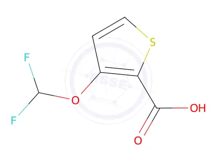 Chemical structure of 3-(difluoromethoxy)thiophene-2-carboxylic Acid