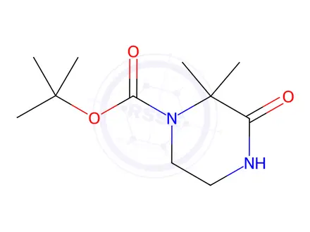 Chemical structure of tert-Butyl 2,2-dimethyl-3-oxopiperazine-1-carboxylate