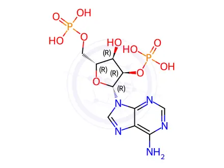 Chemical structure of Adenosine Impurity 143