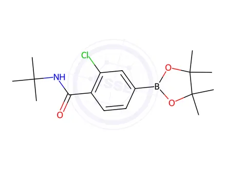 Chemical structure of N-tert-Butyl-2-chloro-4-(tetramethyl-1,3,2-dioxaborolan-2-yl)benzamide