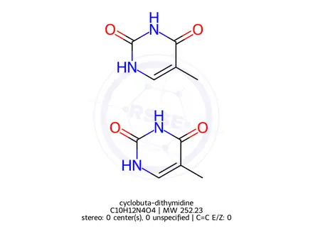 Chemical structure of cyclobuta-dithymidine