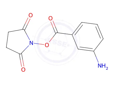 Chemical structure of N-(3-aminobenzoyloxy)succinimide