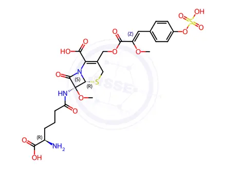 Chemical structure of O-Sulfocephamycin B