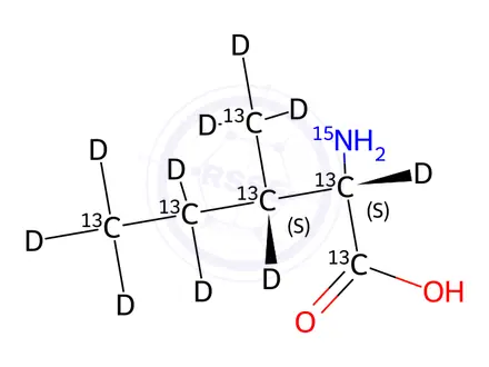 Chemical structure of L-Isoleucine-13C6,15N,D10