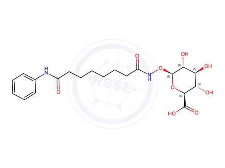 Chemical structure of Suberoylanilide hydroxamic acid β-d-glucuronide