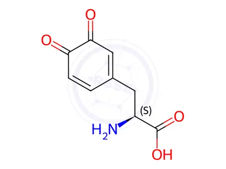Chemical structure of Dopaquinone