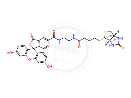Chemical structure of Biotin-4-Fluorescein