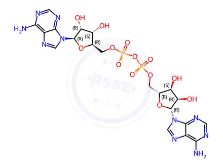 Chemical structure of S-Adenosyl-L-Methionine Impurity 16