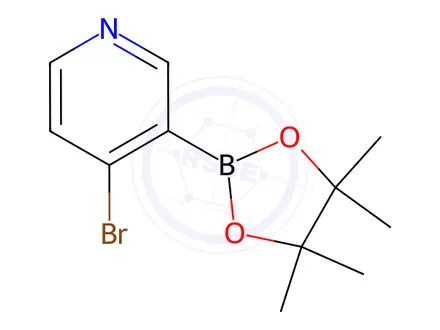 Chemical structure of 4-BroMopyridine-3-boronic acid pinacol ester