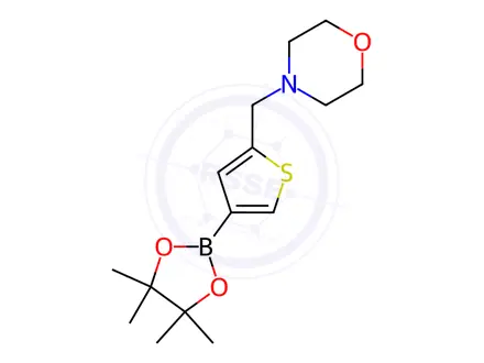 Chemical structure of 2-(Morpholinomethyl)thiophen-4-boronic acid, pinacol ester