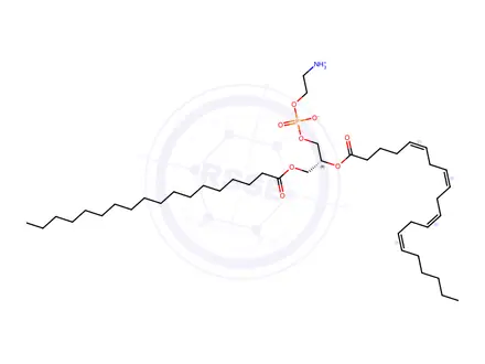 Chemical structure of 5Z,8Z,11Z,14Z-eicosatetraenoicacid,(1R)-1-[[[(2-aminoethoxy)hydroxyphosphinyl]oxy]methyl]-2-[(1-oxooctadecyl)oxy]ethylester