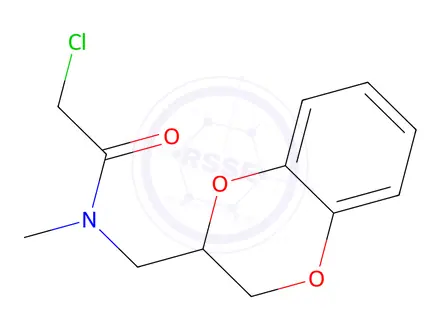 Chemical structure of 2-Chloro-N-(2,3-dihydrobenzo[1,4]dioxin-2-ylmethyl)-N-methylacetamide
