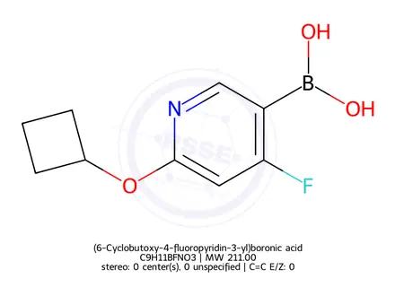 Chemical structure of (6-Cyclobutoxy-4-fluoropyridin-3-yl)boronic acid