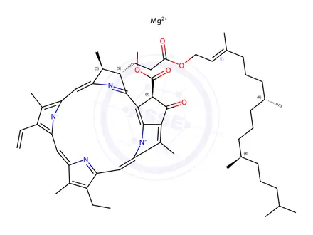 Chemical structure of Chlorophyll