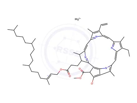 Chemical structure of chlorophyll a'