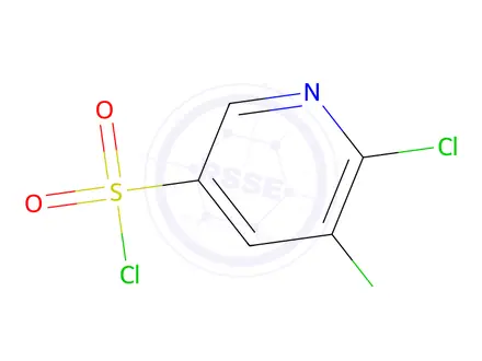 Chemical structure of 5,6-Dichloropyridine-3-Sulfonyl Chloride