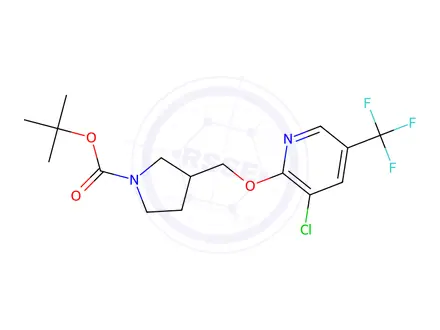 Chemical structure of 3-(3-Chloro-5-trifluoroMethyl-pyridin-2-yloxyMethyl)-pyrrolidine-1-carboxylic acid tert-butyl ester
